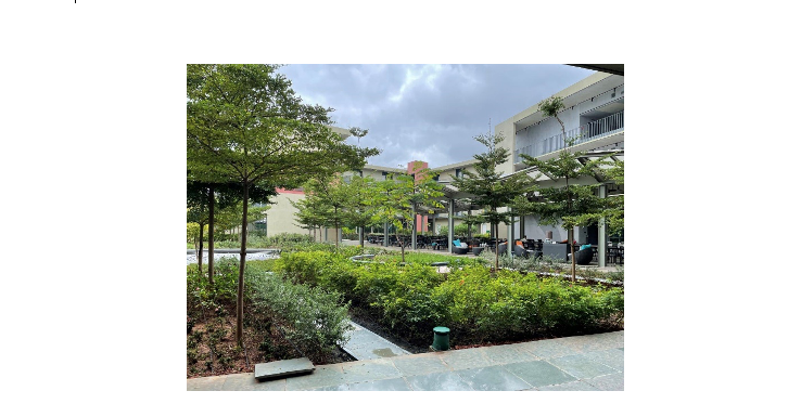 Une image contenant personne, extérieur  Description générée automatiquement